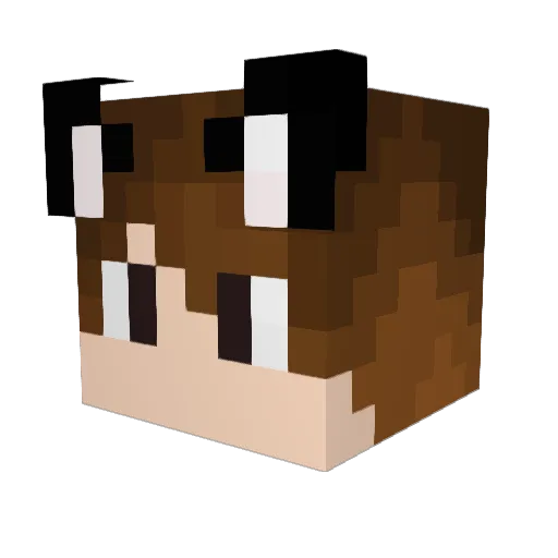 LoloFoxik Minecraft avatar head, 3D render
