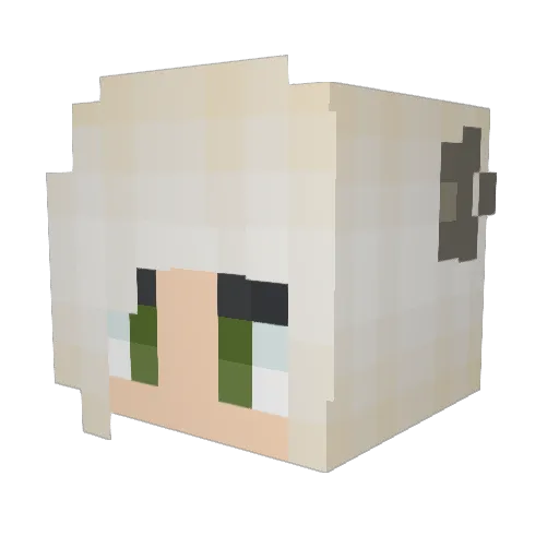 LoloTheCatII Minecraft avatar head, 3D render