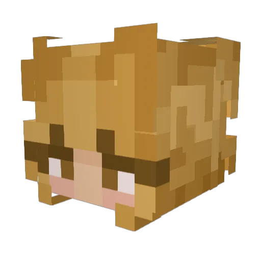 Lolo_222 Minecraft avatar head, 3D render