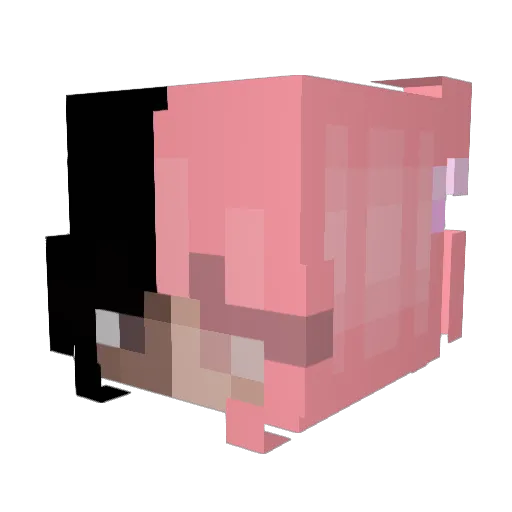 Lolonat38 Minecraft avatar head, 3D render