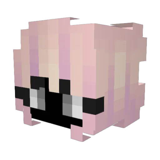 Lolopro2248 Minecraft avatar head, 3D render