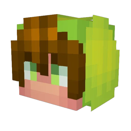 Lolotrack27 Minecraft avatar head, 3D render