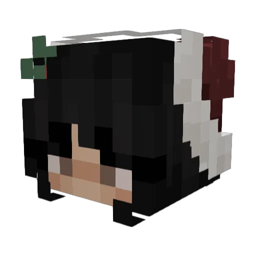 Lols_x Minecraft avatar head, 3D render