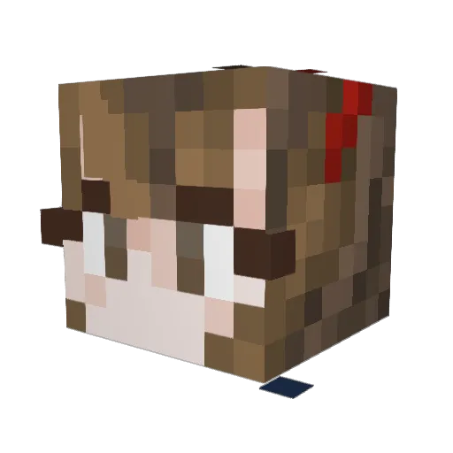 Lolwutman6 Minecraft avatar head, 3D render
