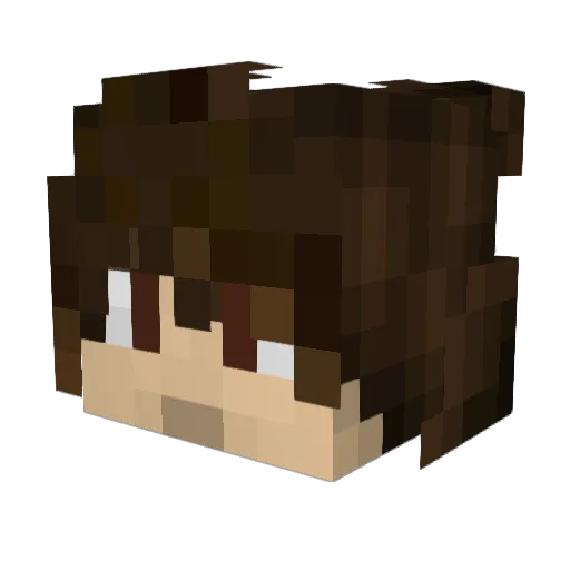 LolyPoop_ Minecraft avatar head, 3D render
