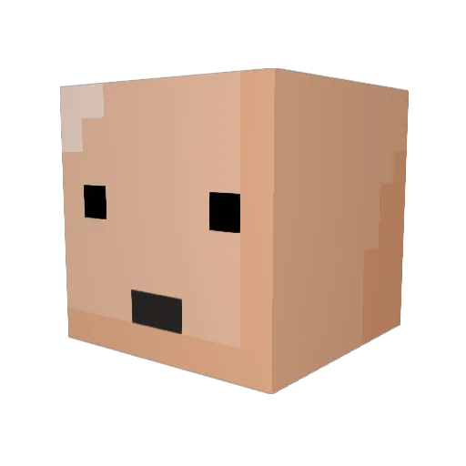 Lolzi1337 Minecraft avatar head, 3D render