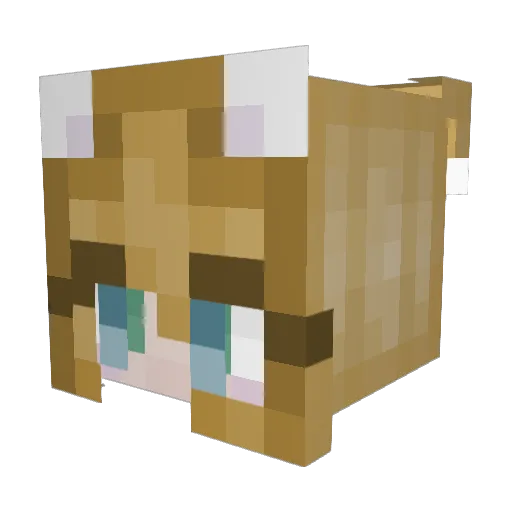 Lolzor5225 Minecraft avatar head, 3D render