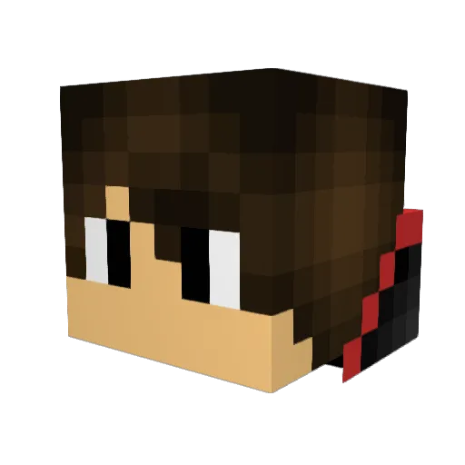 Lon213 Minecraft avatar head, 3D render