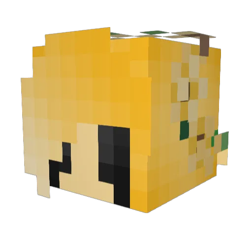 Lonarkoo Minecraft avatar head, 3D render