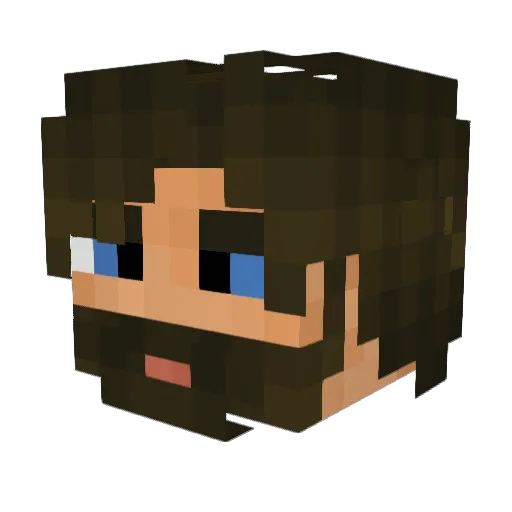 Lonasci Minecraft avatar head, 3D render