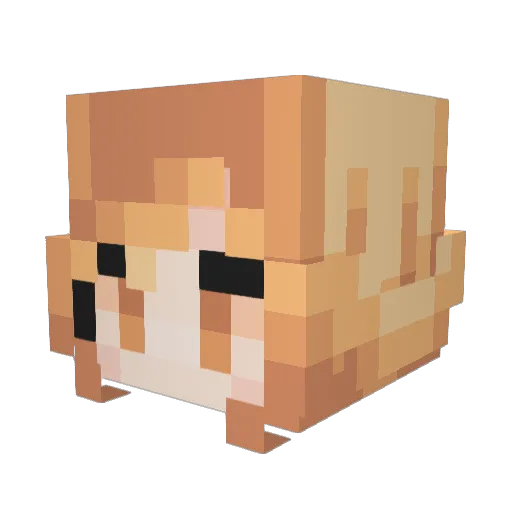 Lonche05 Minecraft avatar head, 3D render