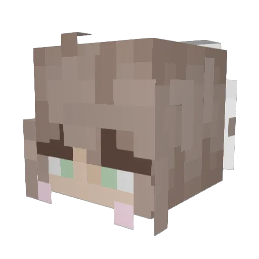 LoneCosmic Minecraft avatar head, 3D render