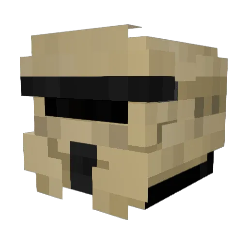 LoneFiber Minecraft avatar head, 3D render