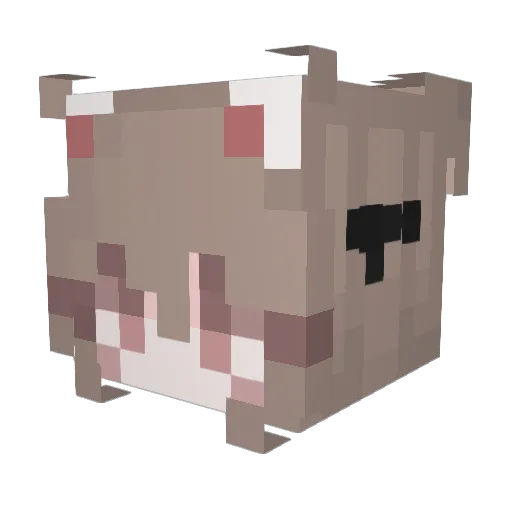 LoneHong Minecraft avatar head, 3D render