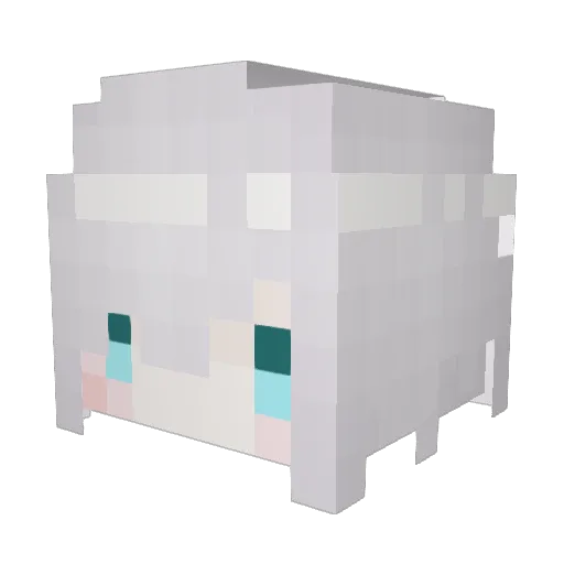 LonePair Minecraft avatar head, 3D render