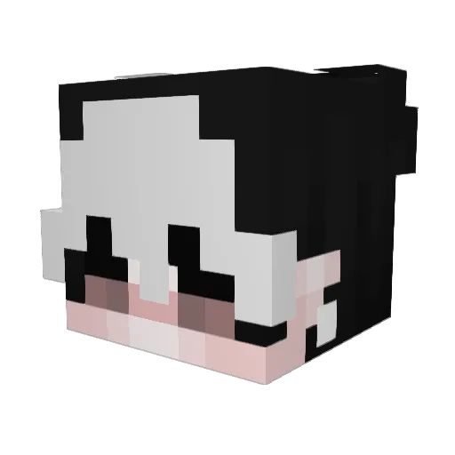 LoneToxicPsycho Minecraft avatar head, 3D render