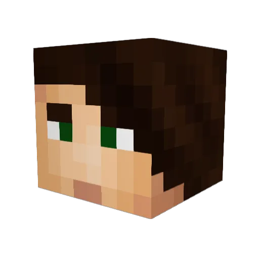 LoneTraveller99 Minecraft avatar head, 3D render