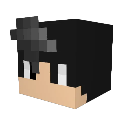 LoneWolf6104 Minecraft avatar head, 3D render