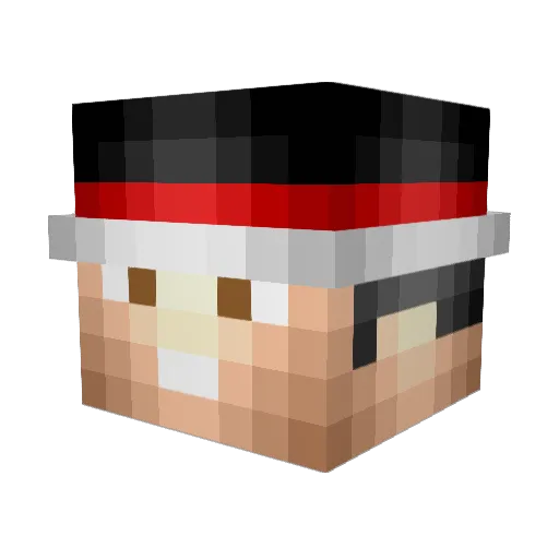 LoneWolf714 Minecraft avatar head, 3D render