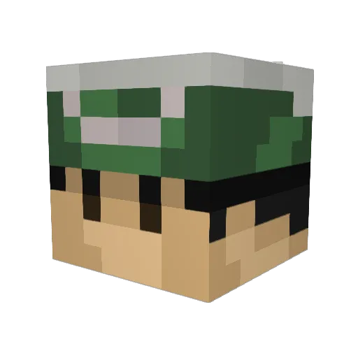 LoneWolf723 Minecraft avatar head, 3D render