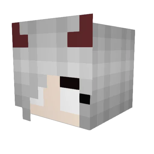 LoneWolf852 Minecraft avatar head, 3D render