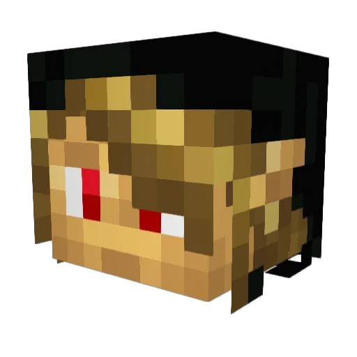 Lone_Ninja118 Minecraft avatar head, 3D render