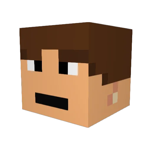 Lone_Wolf09 Minecraft avatar head, 3D render