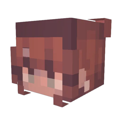Lonely0214 Minecraft avatar head, 3D render