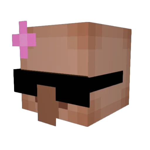 LonelyDiana Minecraft avatar head, 3D render