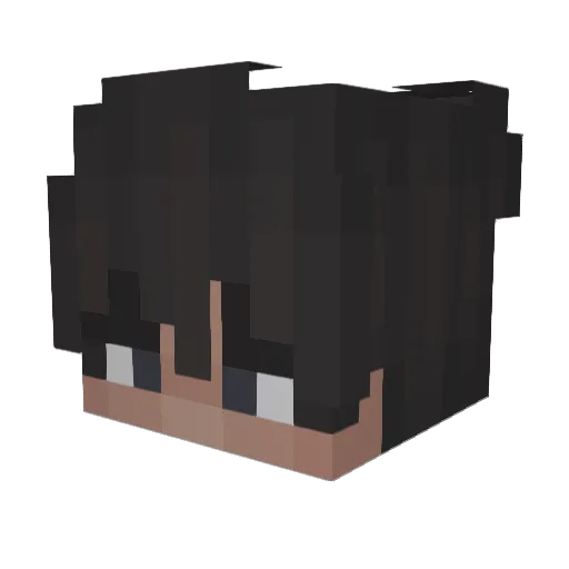 LonelyGrass_ Minecraft avatar head, 3D render