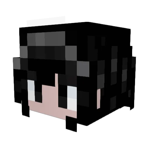 LonelyInTheRain Minecraft avatar head, 3D render