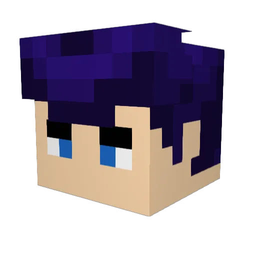 LonelyKrow Minecraft avatar head, 3D render