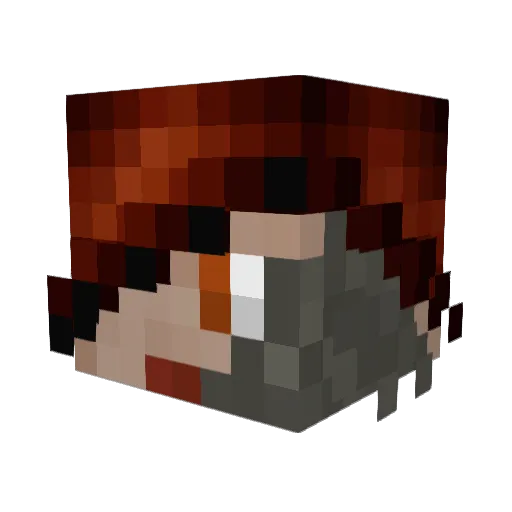 LonelyMinnesotan Minecraft avatar head, 3D render
