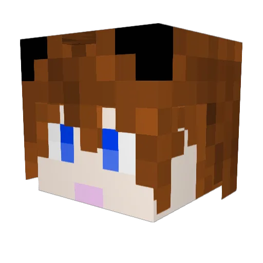 LonelySam8 Minecraft avatar head, 3D render