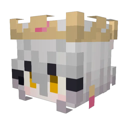 LonelyZeal Minecraft avatar head, 3D render