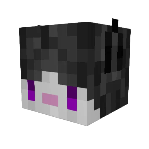 Loneruu Minecraft avatar head, 3D render