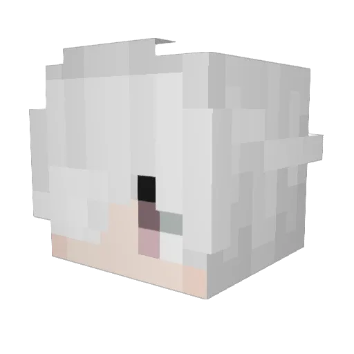 Lonesomer13 Minecraft avatar head, 3D render