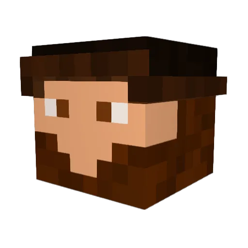 Lonewanderer1324 Minecraft avatar head, 3D render