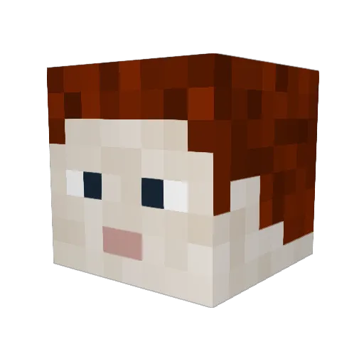 LongBark Minecraft avatar head, 3D render