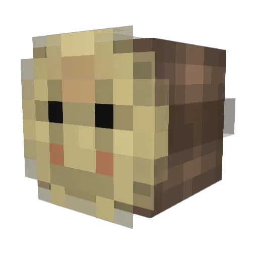 LongDongJohn44 Minecraft avatar head, 3D render