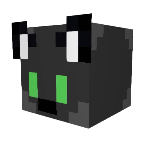 LongFox123 Minecraft avatar head, 3D render