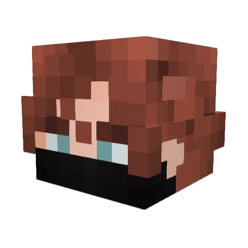 LongNameIncoming Minecraft avatar head, 3D render