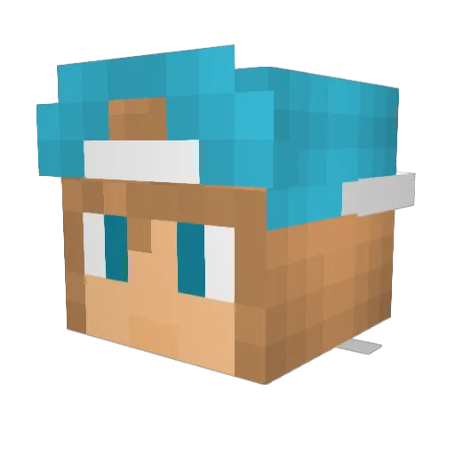 LongSchlongJong Minecraft avatar head, 3D render