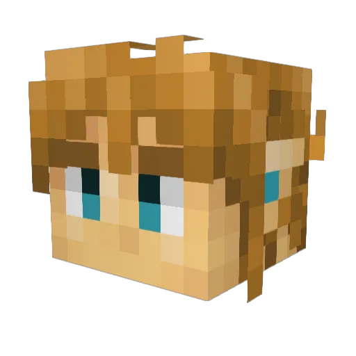 Long_Shovel Minecraft avatar head, 3D render