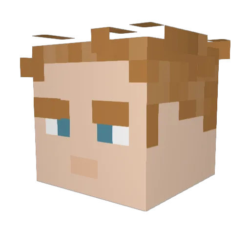 Long_Sleeves Minecraft avatar head, 3D render