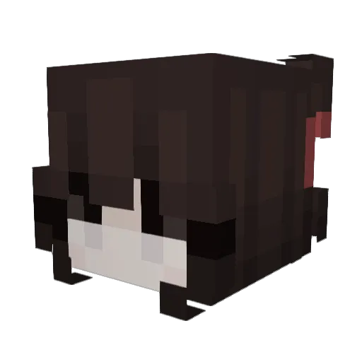 LonganDumplings Minecraft avatar head, 3D render