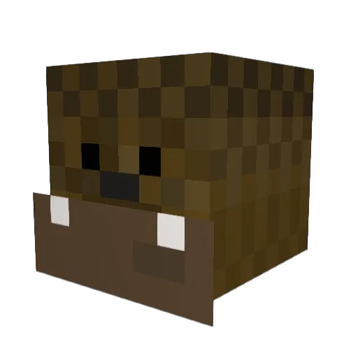 Longbowx49 Minecraft avatar head, 3D render