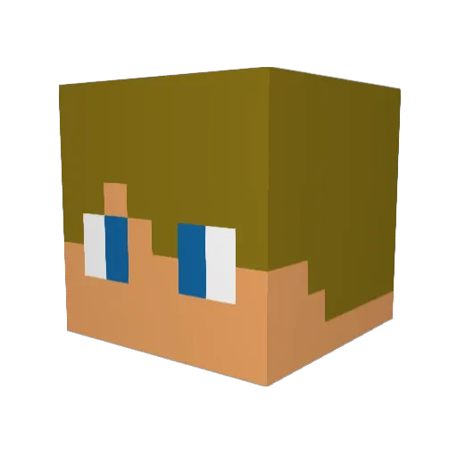 LonghornsGaming Minecraft avatar head, 3D render