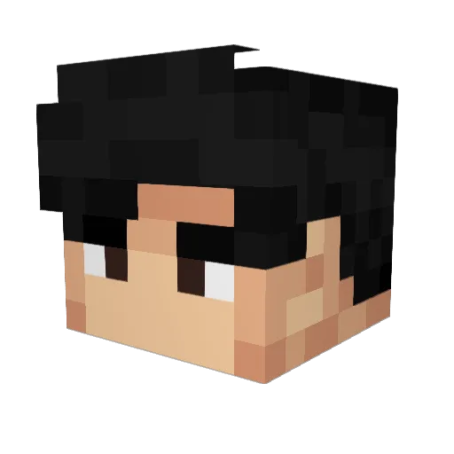 Longma1 Minecraft avatar head, 3D render