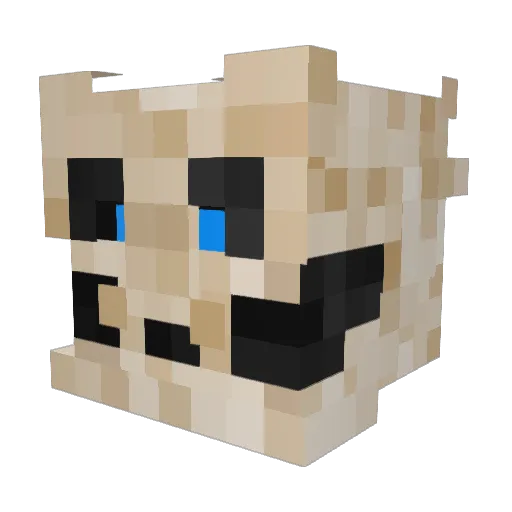 Longname_Matt Minecraft avatar head, 3D render